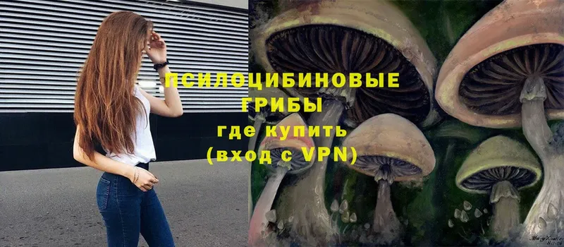 Псилоцибиновые грибы Psilocybe  наркотики  Бокситогорск 