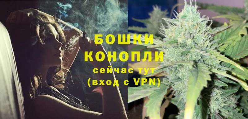 Бошки Шишки THC 21%  Бокситогорск 